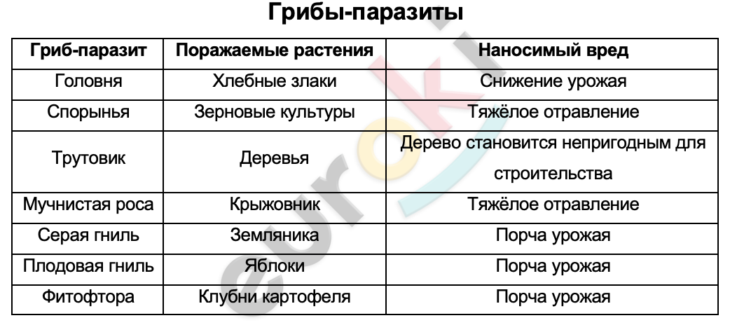 Таблицa по биологии 5 класс Грибы-паразиты