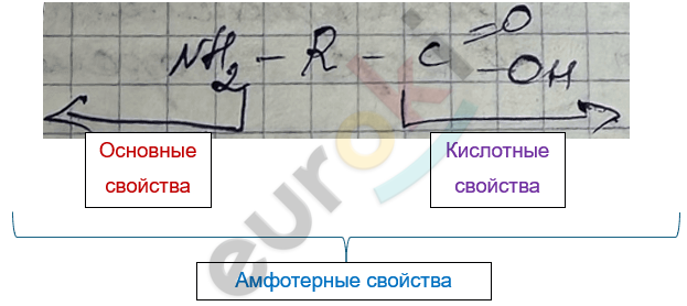 Изображение выглядит как текст, снимок экрана, линия, Шрифт Автоматически созданное описание