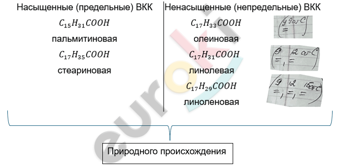 Изображение выглядит как текст, снимок экрана, Шрифт Автоматически созданное описание