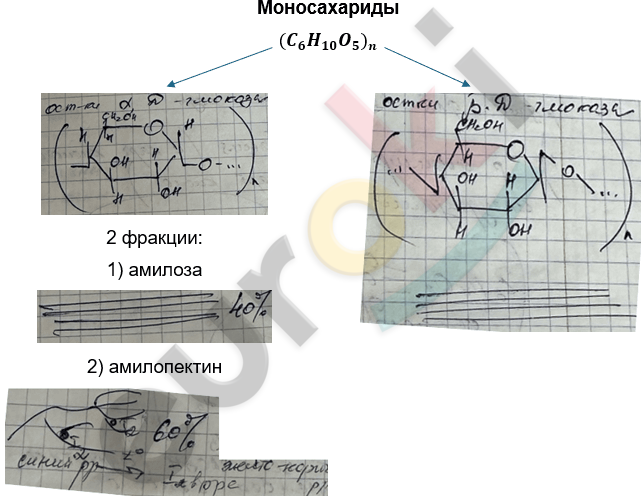 Изображение выглядит как текст, зарисовка, рукописный текст, рисунок Автоматически созданное описание