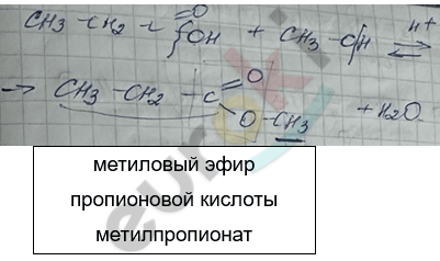 Изображение выглядит как текст, рукописный текст, Шрифт, линия Автоматически созданное описание