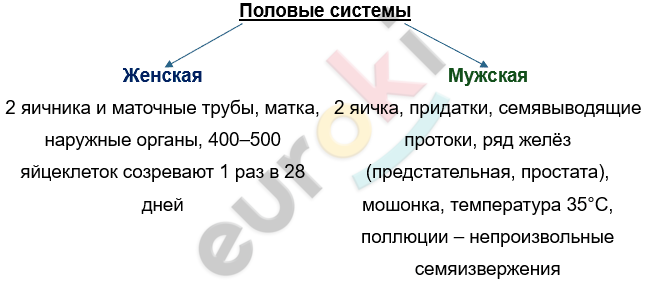 Изображение выглядит как текст, снимок экрана, Шрифт, линия Автоматически созданное описание