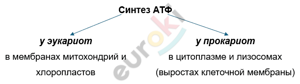 Изображение выглядит как текст, Шрифт, линия, снимок экрана Автоматически созданное описание