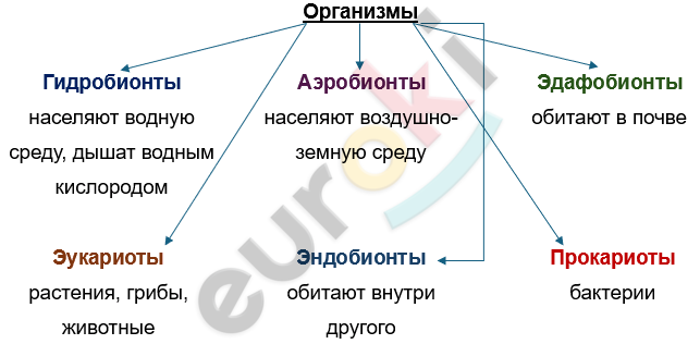 Изображение выглядит как текст, снимок экрана, линия, Шрифт Автоматически созданное описание