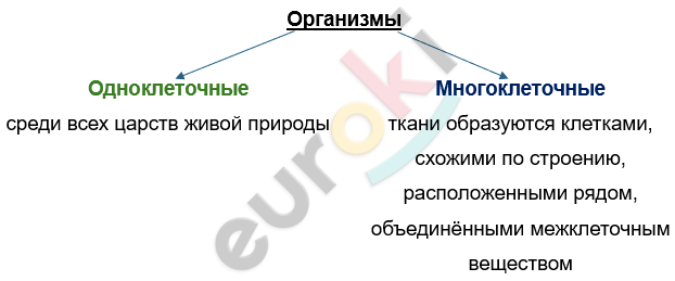 Изображение выглядит как текст, снимок экрана, Шрифт, линия Автоматически созданное описание