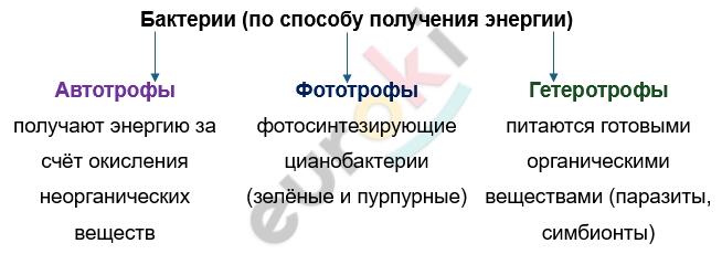 Изображение выглядит как текст, снимок экрана, Шрифт, линия Автоматически созданное описание