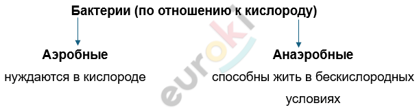 Изображение выглядит как текст, снимок экрана, Шрифт, линия Автоматически созданное описание