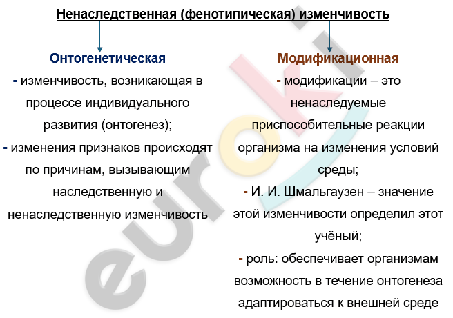 Изображение выглядит как текст, снимок экрана, Шрифт, число Автоматически созданное описание