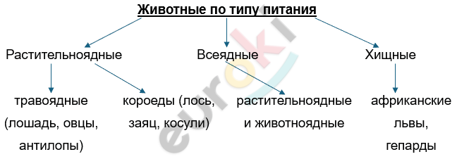 Изображение выглядит как текст, линия, снимок экрана, Шрифт Автоматически созданное описание