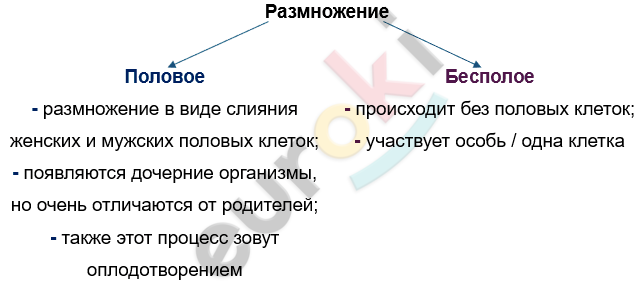 Изображение выглядит как текст, снимок экрана, Шрифт, линия Автоматически созданное описание