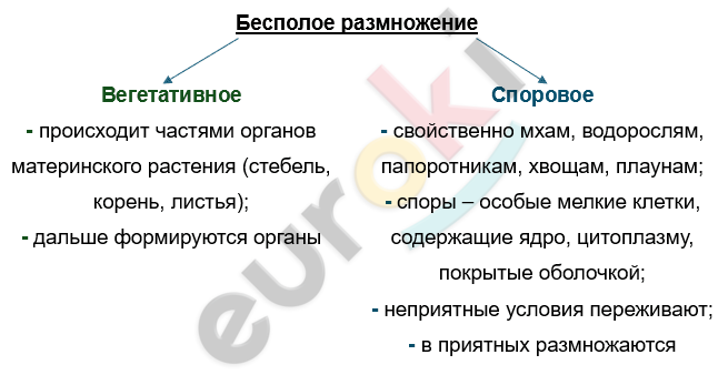 Изображение выглядит как текст, снимок экрана, Шрифт Автоматически созданное описание