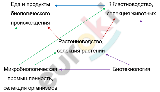 Изображение выглядит как текст, линия, снимок экрана, Шрифт Автоматически созданное описание