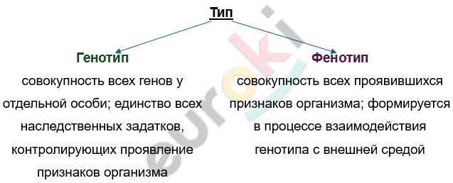 Изображение выглядит как текст, снимок экрана, Шрифт, линия Автоматически созданное описание