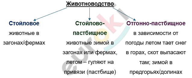 Изображение выглядит как текст, снимок экрана, Шрифт, линия Автоматически созданное описание